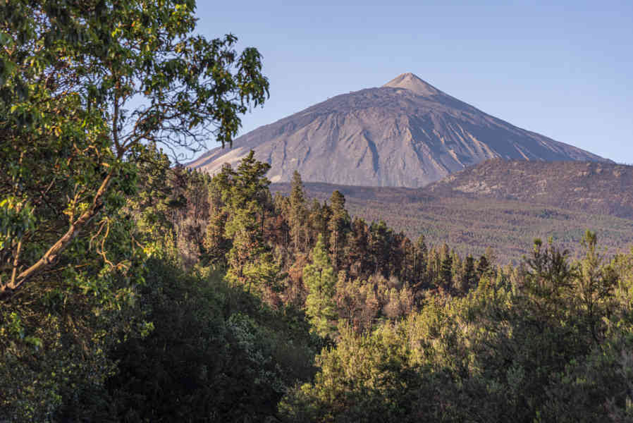 Tenerife 296 - parque natural Corona Forestal - volcán Teide.jpg